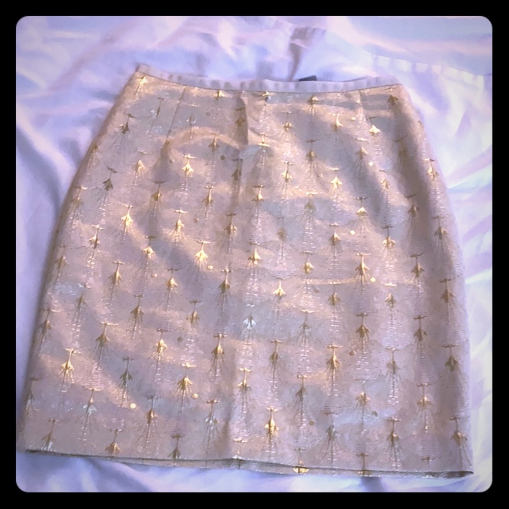 H&M skirt. NWT